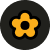 Rotating Flower